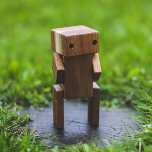 Robots